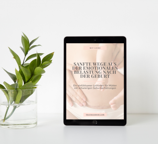 0€ eBook Geburtstrauma verarbeiten Leitfaden Sanfte Wege aus der emotionalen Belastung nach der Geburt